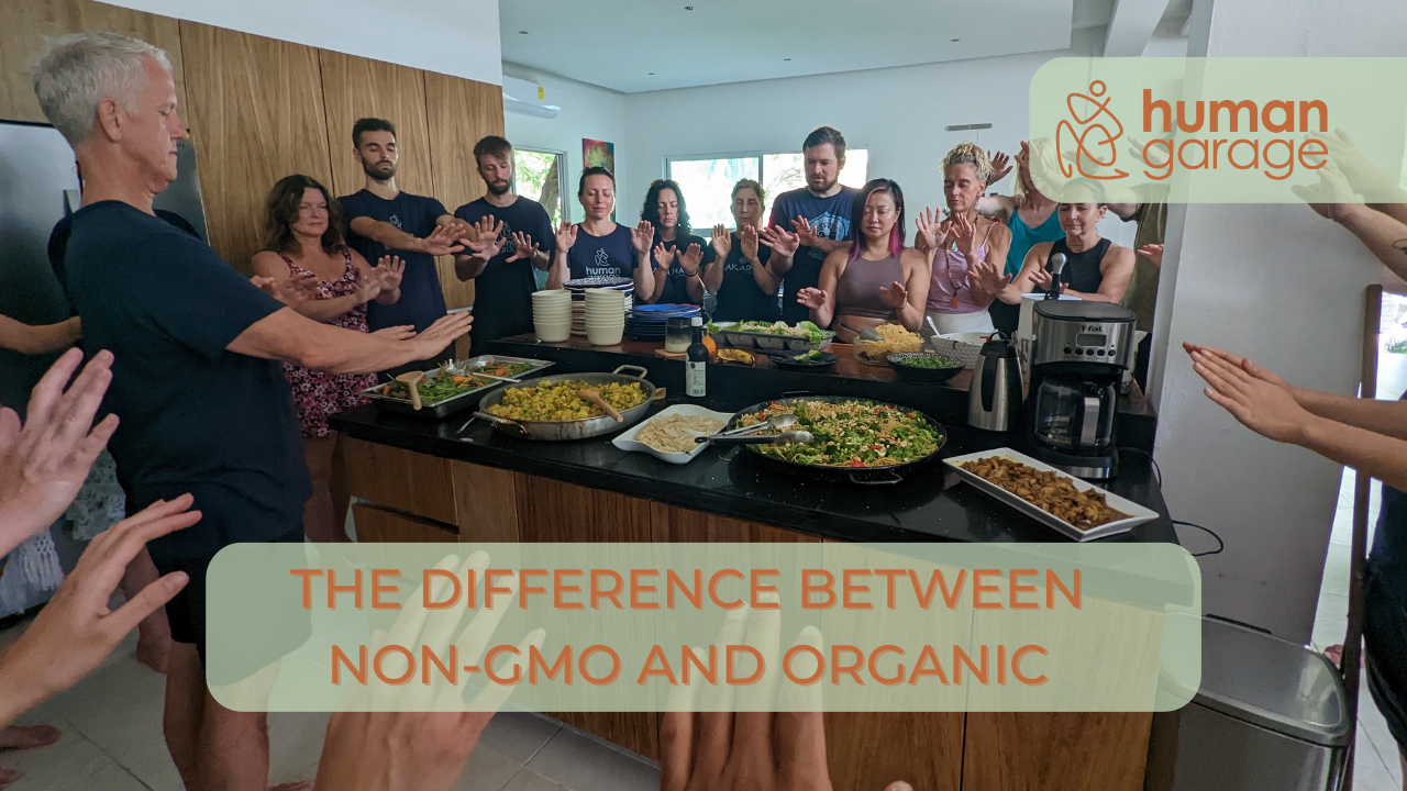 the difference between non-GMO and organic: do labels matter?