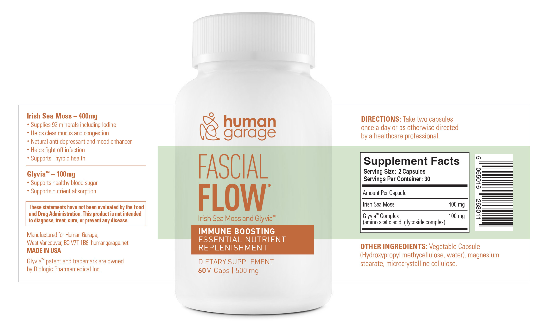 Fascial Flow™ - Image 2