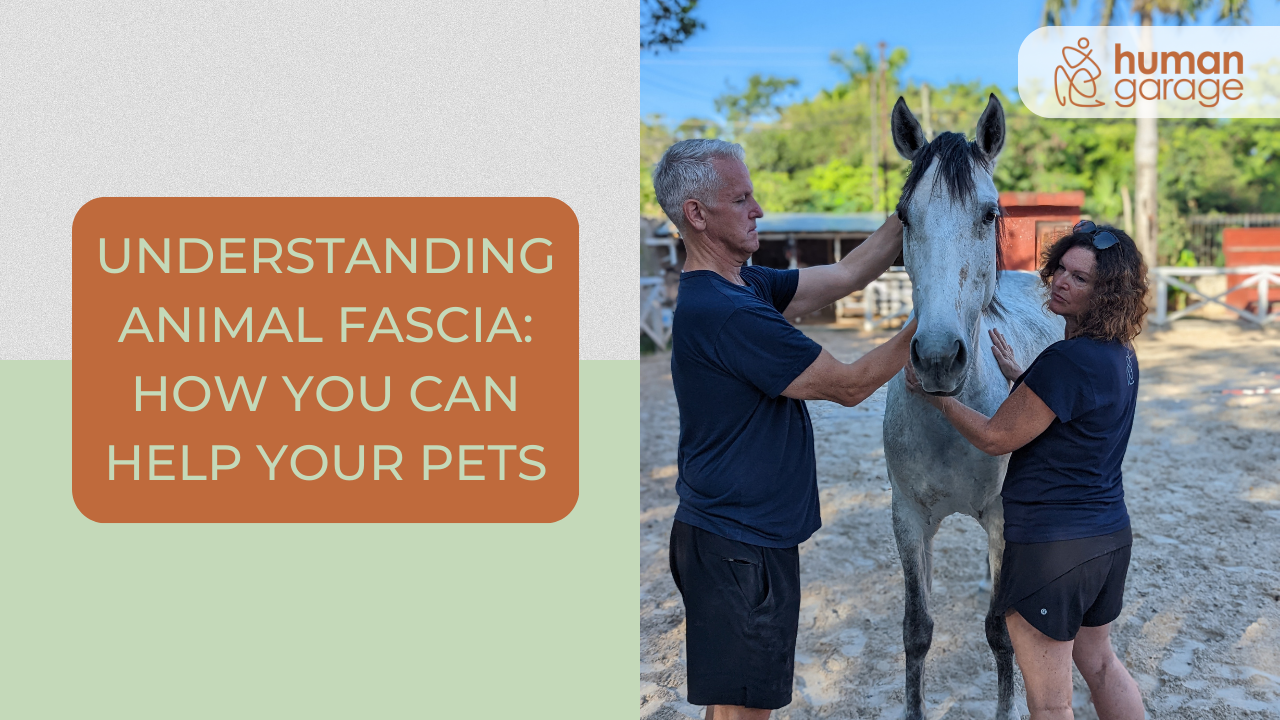 Understanding Animal Fascia: How to Help Your Pets